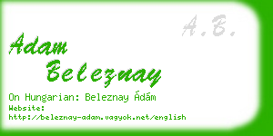 adam beleznay business card