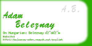 adam beleznay business card